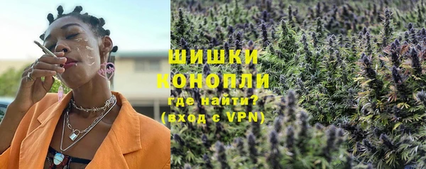 гашик Тихвин