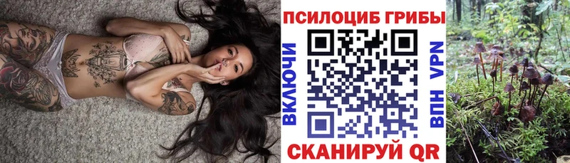 omg рабочий сайт  Барабинск  Псилоцибиновые грибы ЛСД 